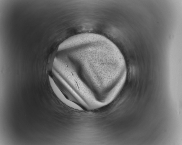 X0000089751250200707201915