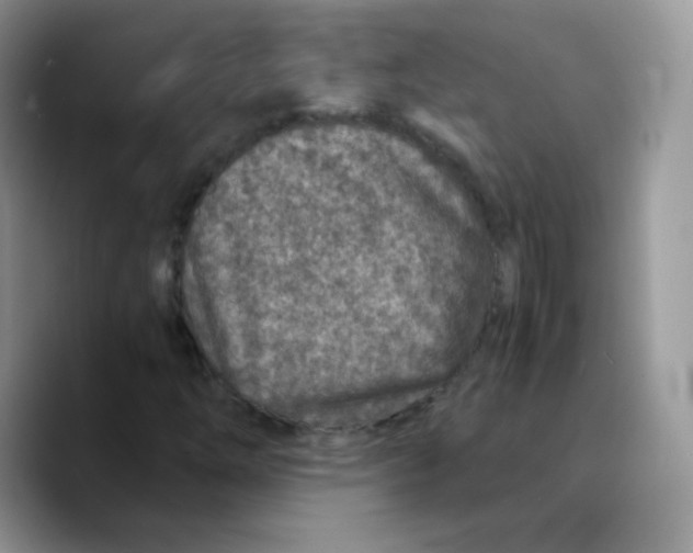 X0000089751254200707201915