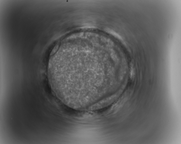 X0000089751255200707201915