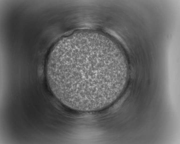 X0000089751259200707201915