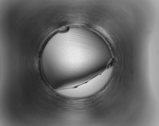 X0000089751260200707201915