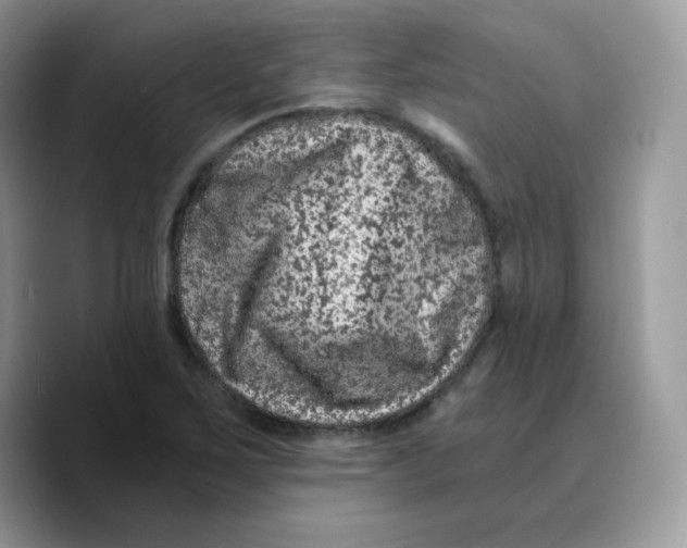 X0000089751267200707201915