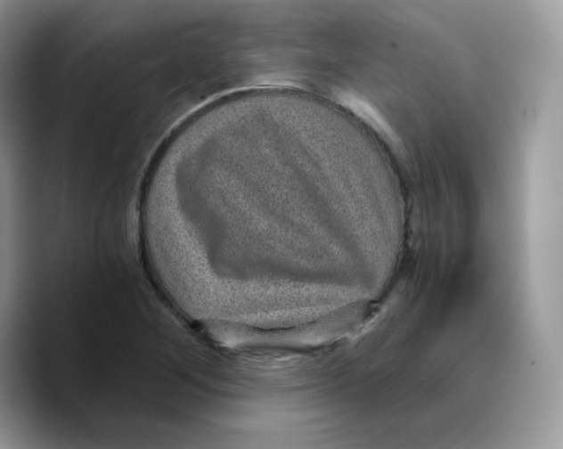 X0000089751268200707201915