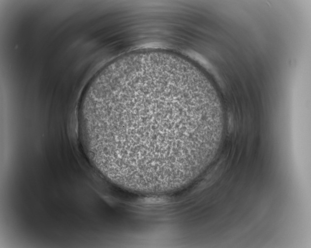 X0000089751274200707201915