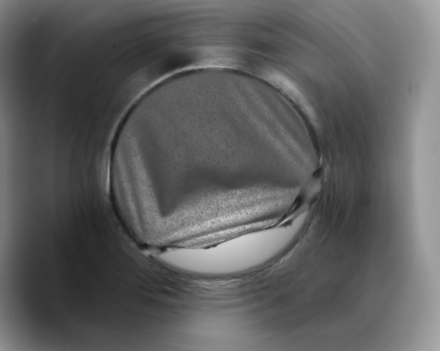 X0000089751276200707201915