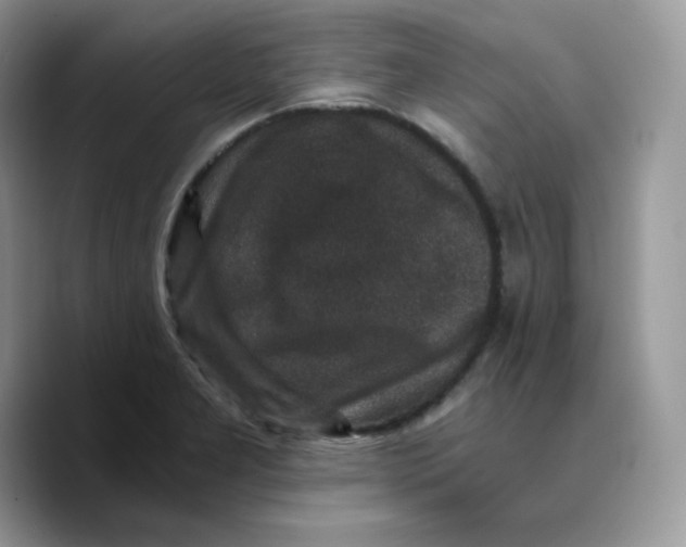 X0000089751277200707201915