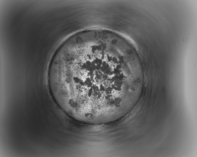 X0000089751279200707201915