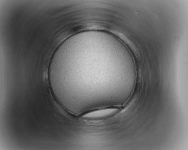 X0000089751281200707201915