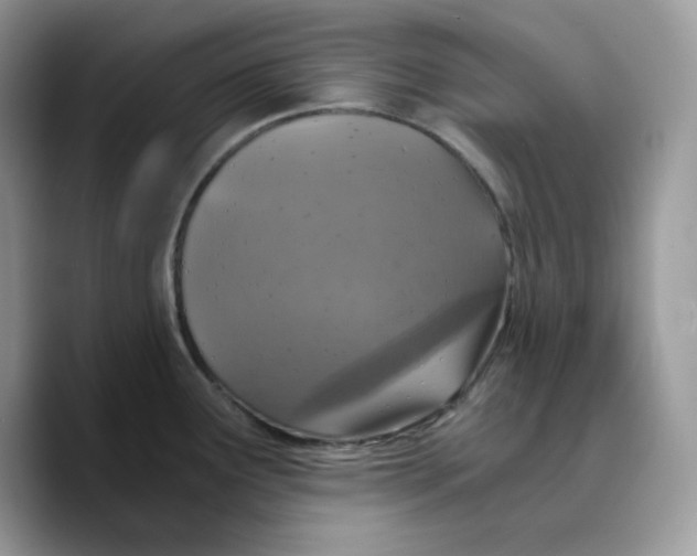 X0000089751291200707201914