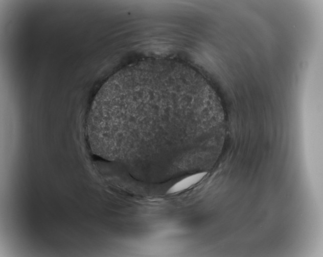 X0000089751297200707201914