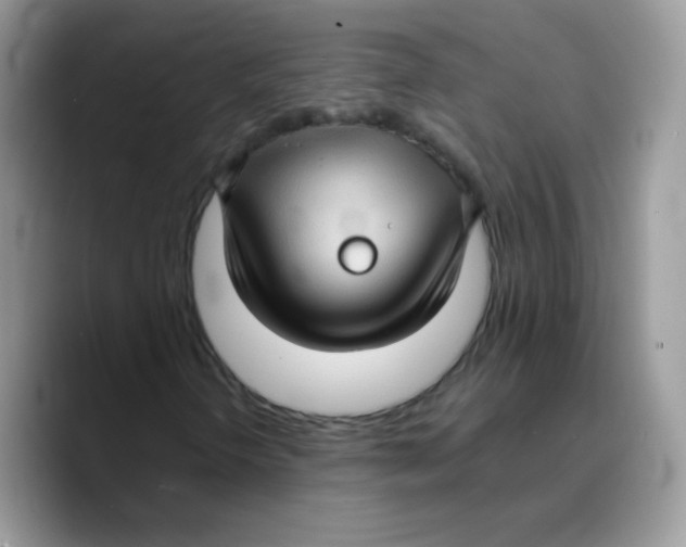 X0000089751298200707201914