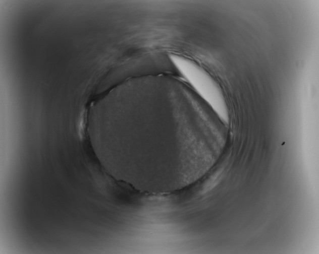 X0000089751300200707201914