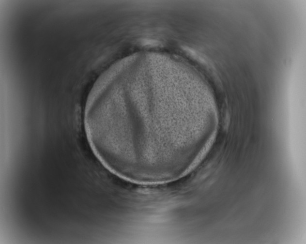 X0000089751301200707201914