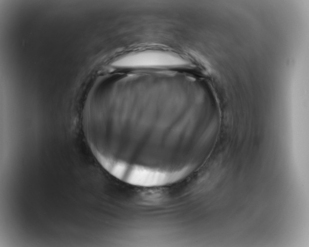 X0000089751303200707201914