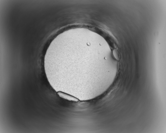 X0000089751304200707201914