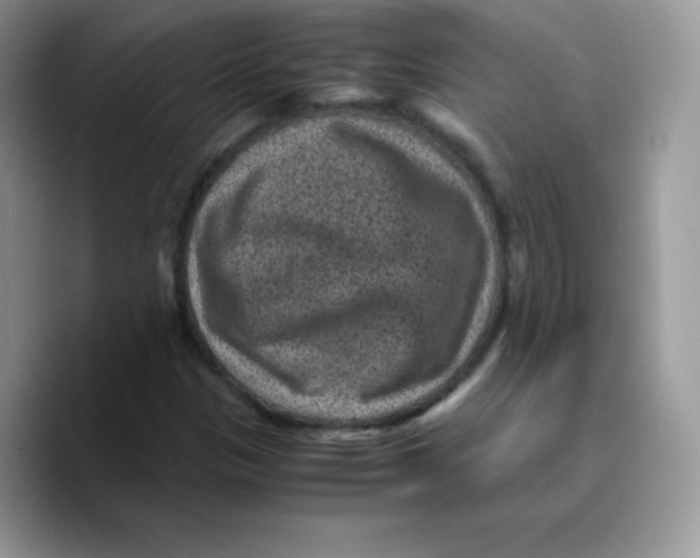 X0000089751305200707201914