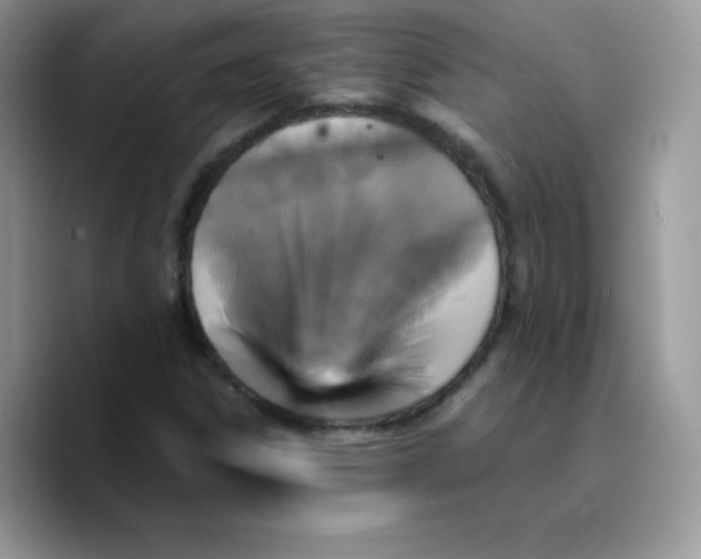 X0000089751306200707201914