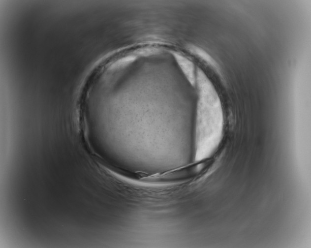 X0000089751310200707201914