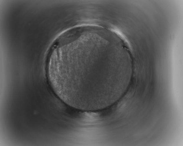 X0000089751312200707201914