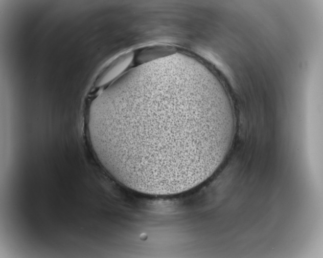 X0000089751316200707201914