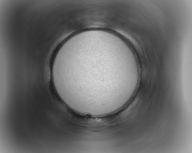 X0000089751317200707201914