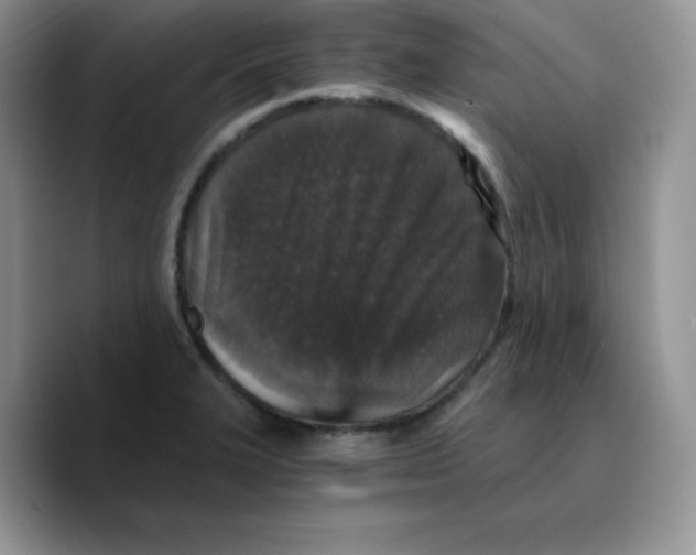 X0000089751327200707201914