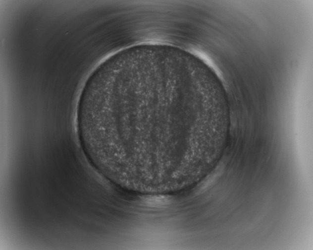 X0000089751331200707201914