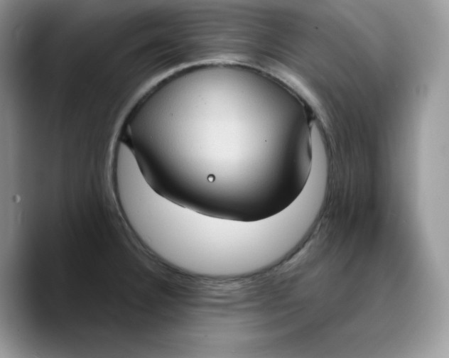 X0000089751332200707201914