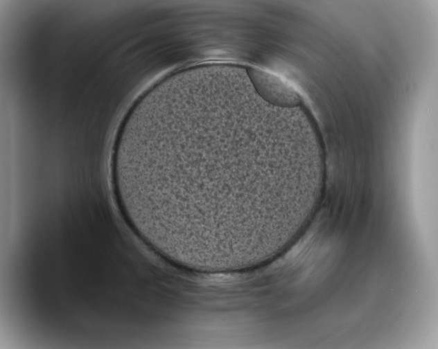 X0000089751333200707201914