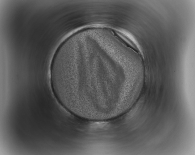 X0000089751335200707201914