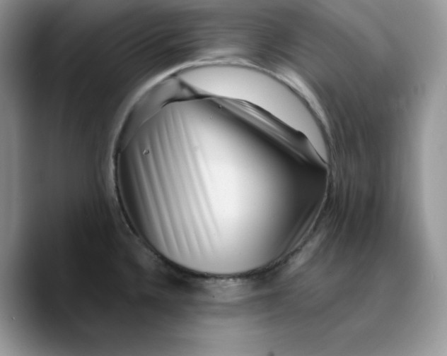 X0000089751336200707201914