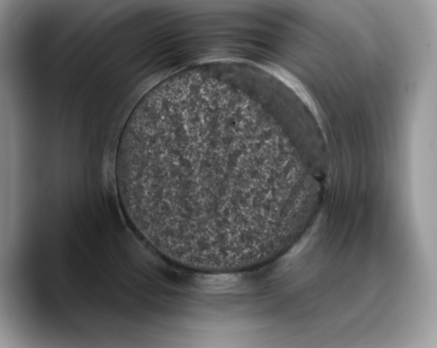 X0000089751337200707201914