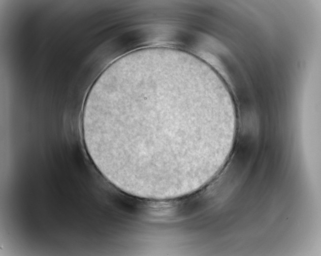 X0000089751338200707201914