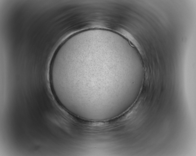 X0000089751339200707201914