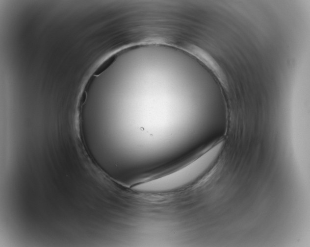 X0000089751340200707201914