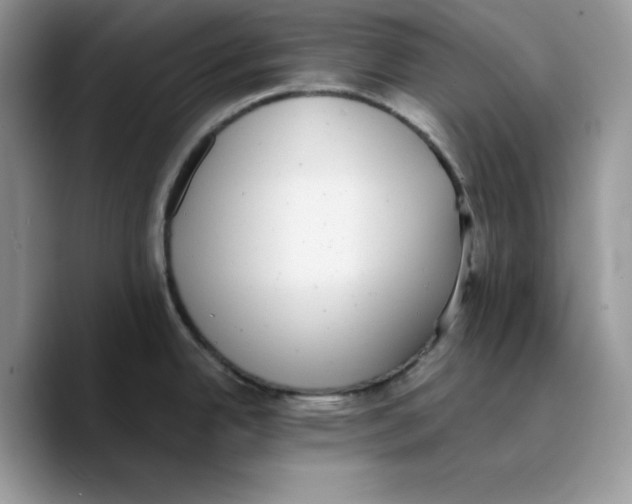 X0000089751342200707201914