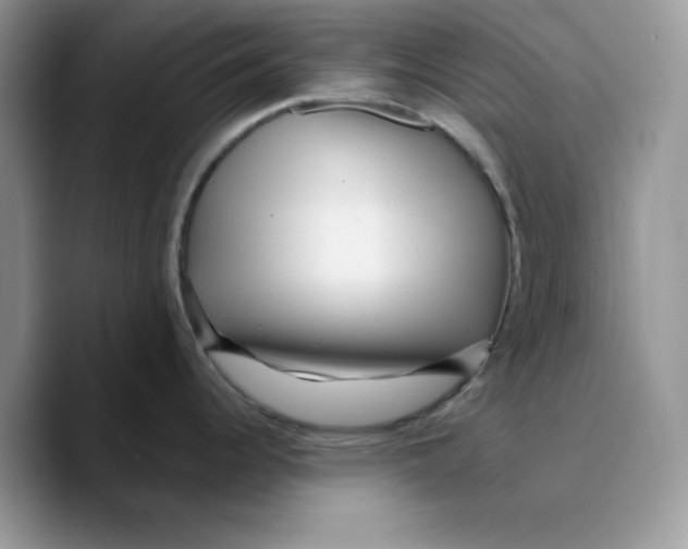 X0000089751344200707201914