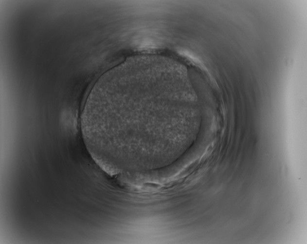 X0000089751348200707201914