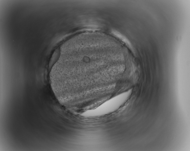 X0000089751352200707201914