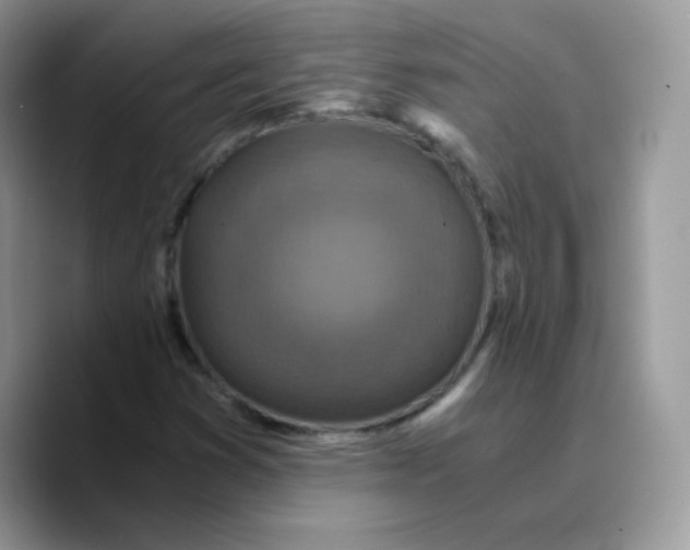 X0000089751353200707201914