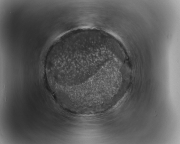 X0000089751359200707201914