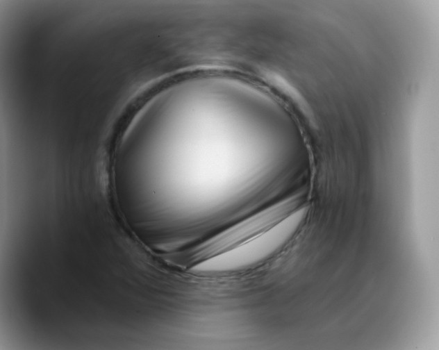 X0000089751360200707201913