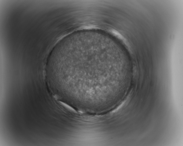 X0000089751361200707201913