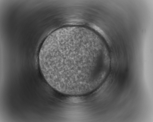 X0000089751362200707201913