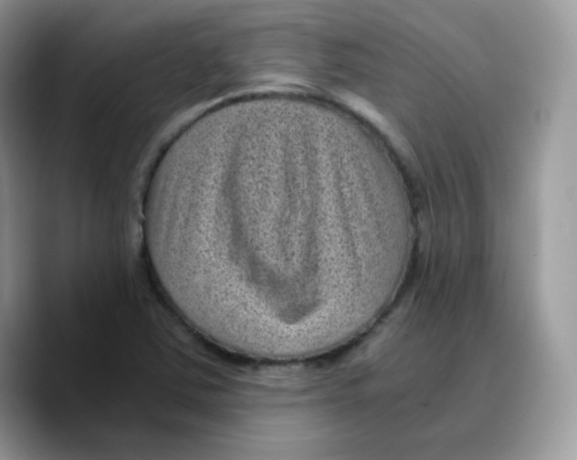 X0000089751363200707201913