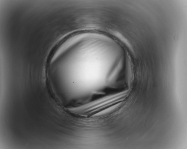 X0000089751364200707201913