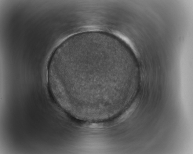 X0000089751365200707201913