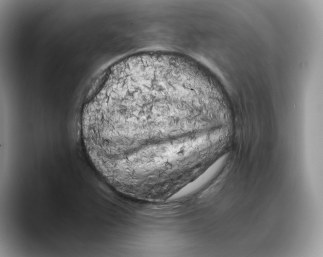 X0000089751367200707201913