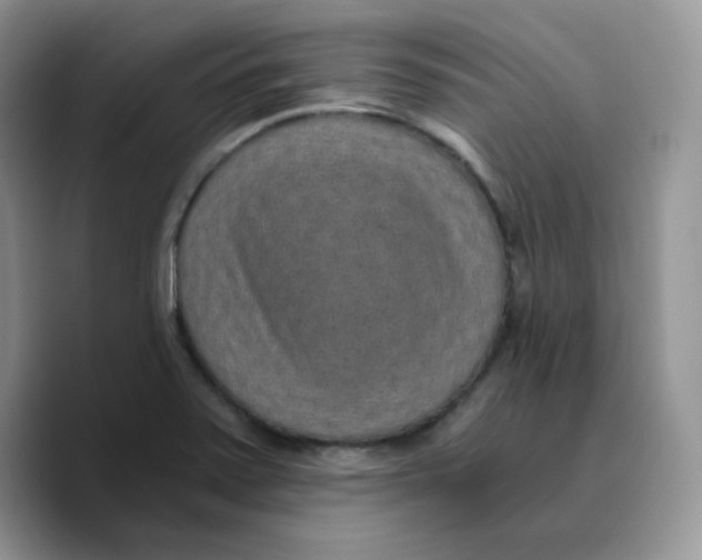 X0000089751371200707201913