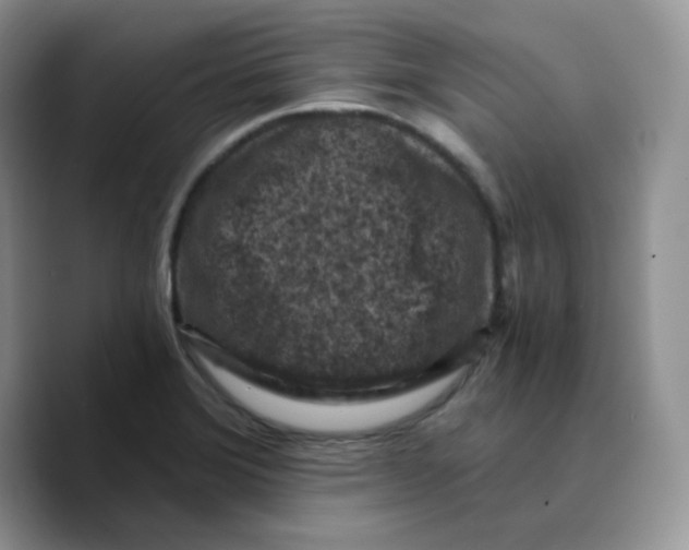 X0000089751372200707201913